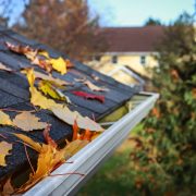 Autumn leaves in a rain gutter on a roof, Shallow focus in foreground